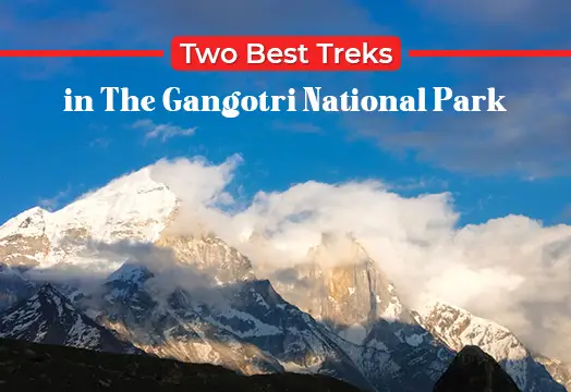 Two Best Treks in The Gangotri National Park